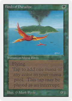 Birds of Paradise
