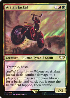 Atalan Jackal