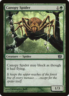 Canopy Spider