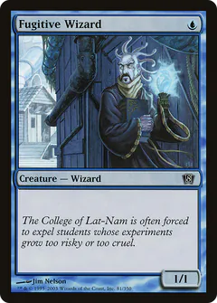 Fugitive Wizard