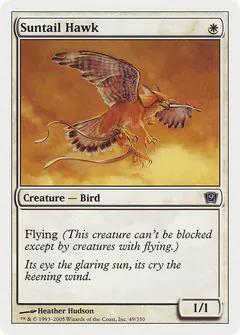 Suntail Hawk