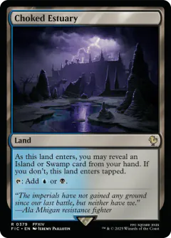 Choked Estuary
