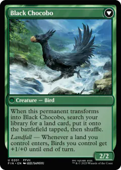 Chocobo negro