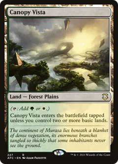 Canopy Vista