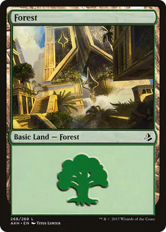 Forest