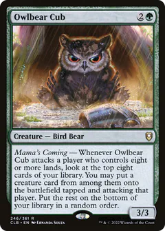 Owlbear Cub