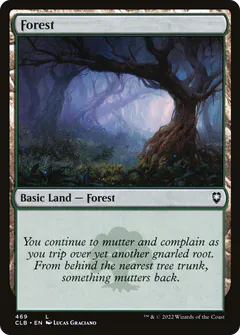 Forest