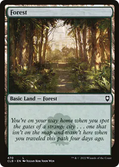 Forest