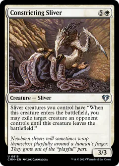 Constricting Sliver