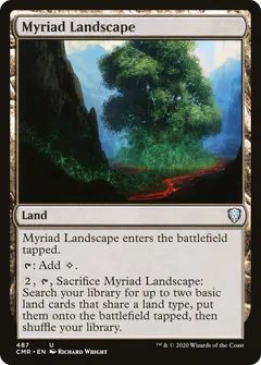 Myriad Landscape