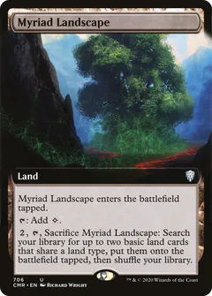 Myriad Landscape