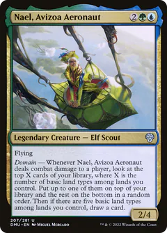 Nael, Avizoa Aeronaut