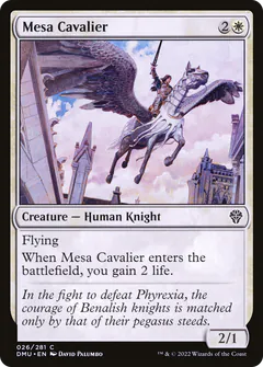 Cavaliera della Mesa