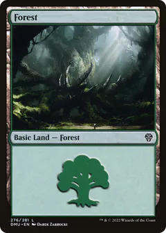 Forest
