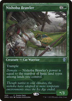 Nishoba Lottatore