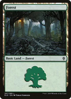 Forest