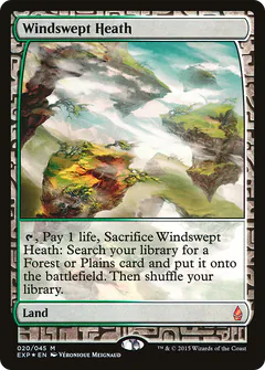 Windswept Heath