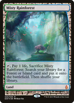 Misty Rainforest