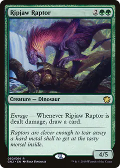 Raptor Squartamascella