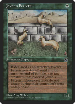 Joven's Ferrets