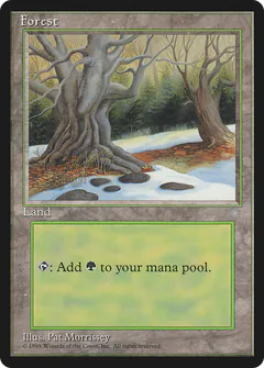 Forest