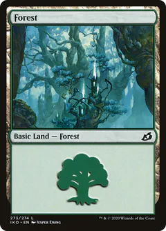 Forest
