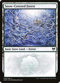Snow-Covered Forest