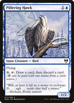 Pilfering Hawk