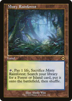 Misty Rainforest