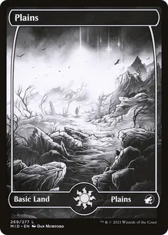 Plains