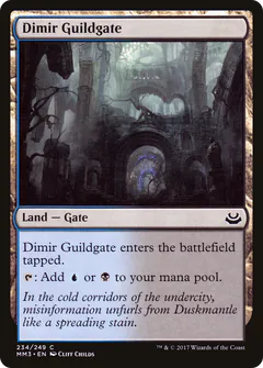 Dimir Guildgate