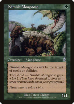 Nimble Mongoose