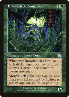Broodhatch Nantuko