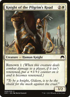 Knight of the Pilgrim's Road