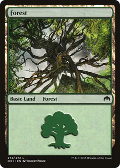 Forest