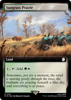 Sungrass Prairie