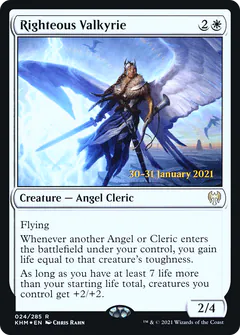 Righteous Valkyrie
