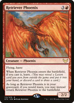 Retriever Phoenix