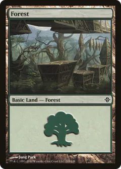 Forest