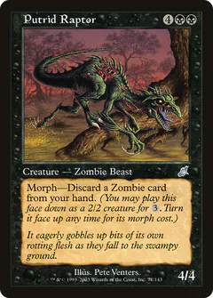Raptor Putrido