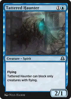Tattered Haunter