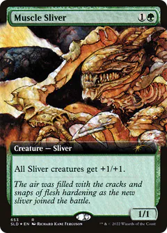 Muscle Sliver