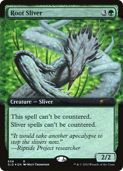 Root Sliver