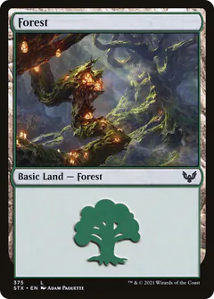 Forest