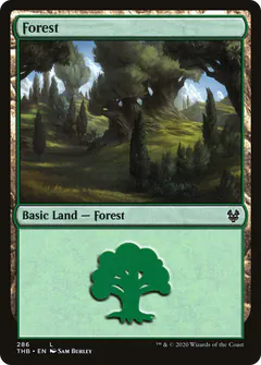 Forest