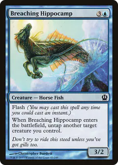 Breaching Hippocamp
