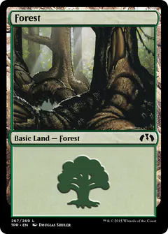 Forest
