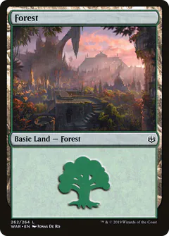 Forest