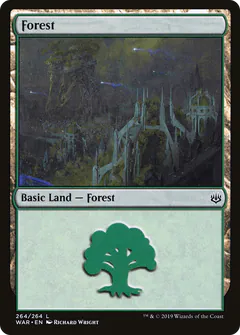 Forest
