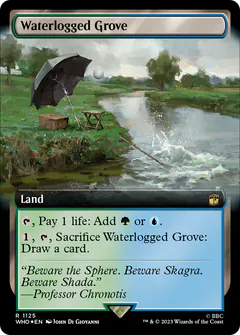 Selva Allagata